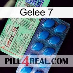 Jelly 7 new02